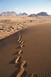 Kamelspuren im Wadi Rum. 